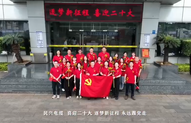 民興電纜喜迎二十大，奮進新征程！