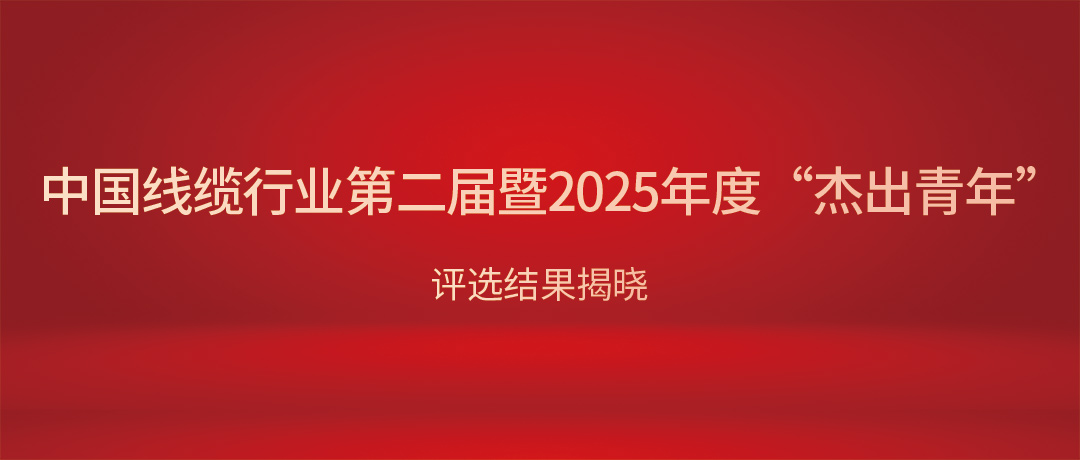 熱烈祝賀民興電纜總經(jīng)理?xiàng)顝s獲中國(guó)線(xiàn)纜行業(yè)“杰出青年”！