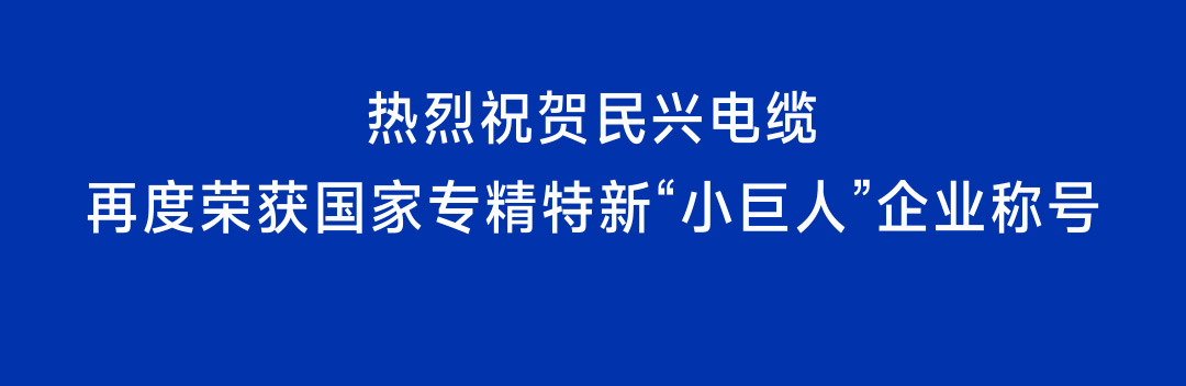 再獲國(guó)家級(jí)認(rèn)定！民興電纜蟬聯(lián)國(guó)家專(zhuān)精特新“小巨人”企業(yè)稱(chēng)號(hào)